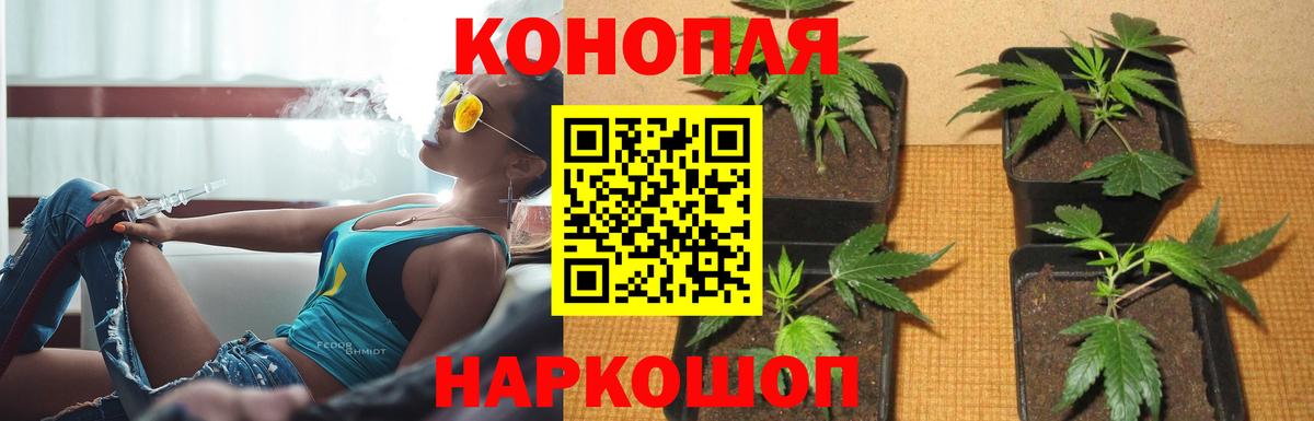 Бошки марихуана VHQ Урай